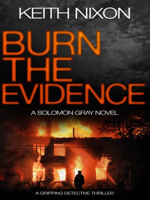 cover image of Burn the Evidence